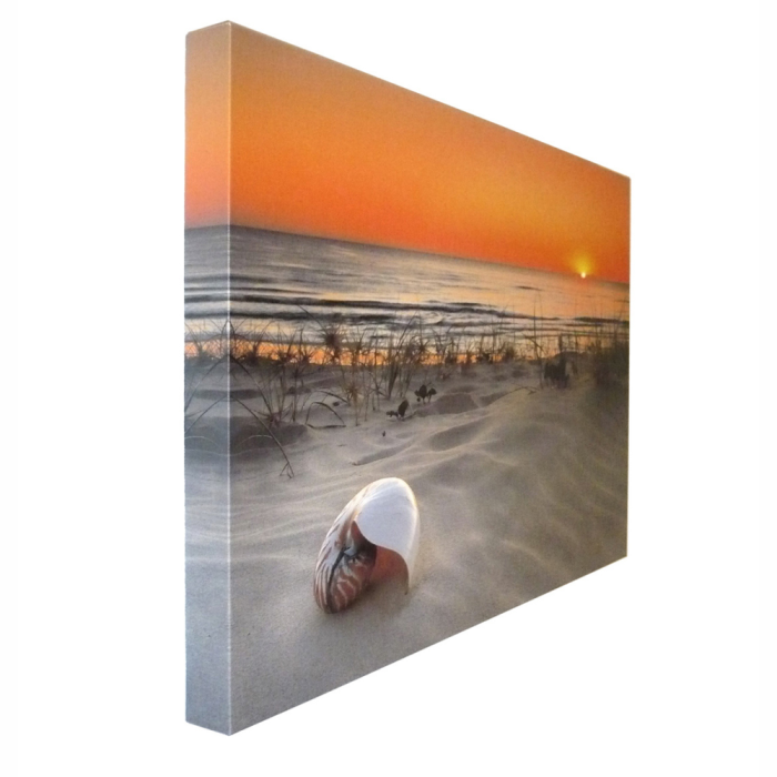 Gallery Wrapped Canvas 2